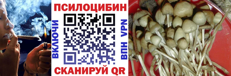 Галлюциногенные грибы ЛСД  закладка  Минусинск 