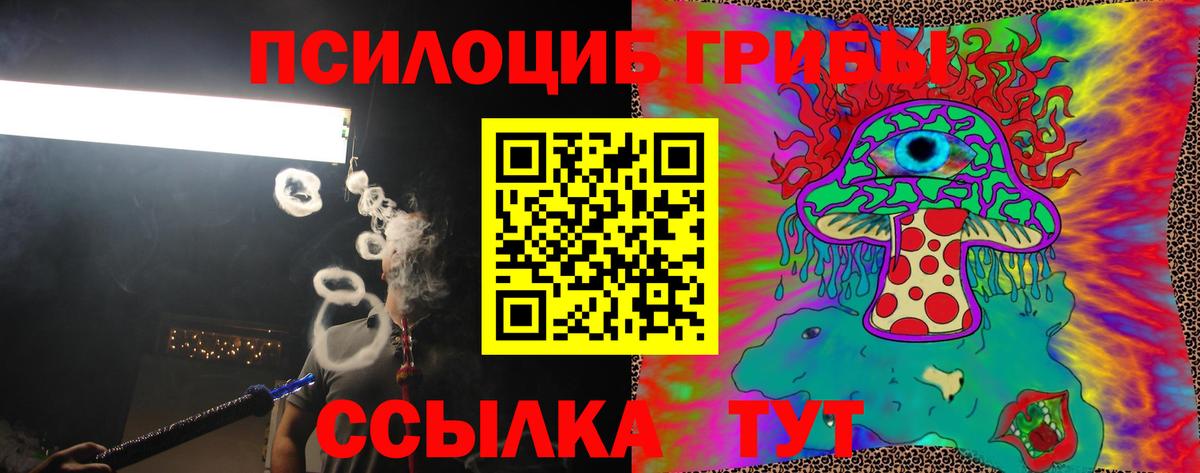Галлюциногенные грибы Psilocybine cubensis Минусинск
