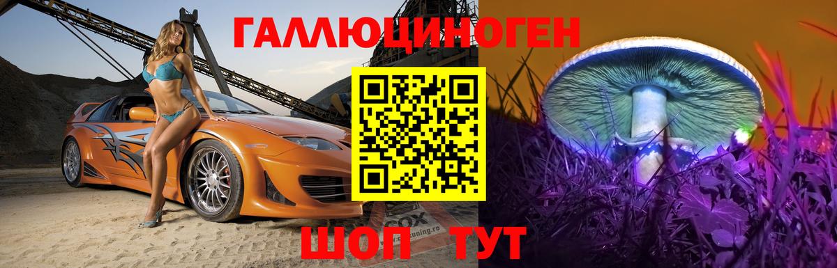 Псилоцибиновые грибы GOLDEN TEACHER  Вход с VPN  закладки  Минусинск 